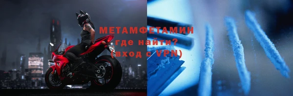 прущие грибы Семилуки