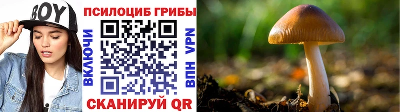 Галлюциногенные грибы мухоморы Аркадак
